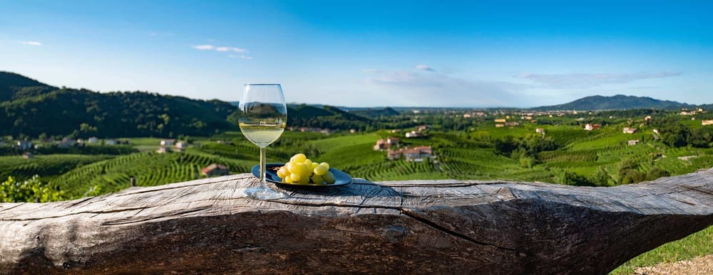 Guter Weißwein