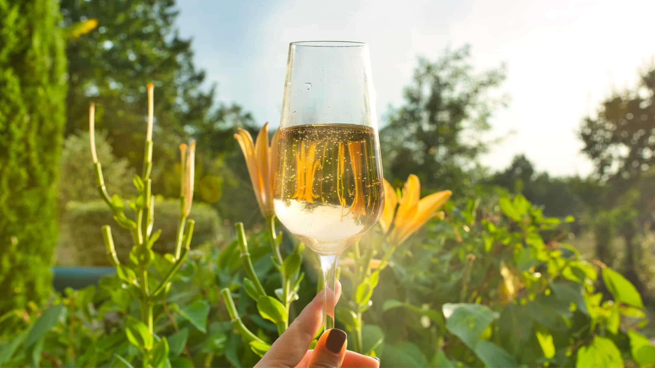 Crémant kaufen Crémant kaufen