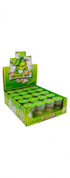 Wilder Willi Alk.25vol.% 20x0,02 l